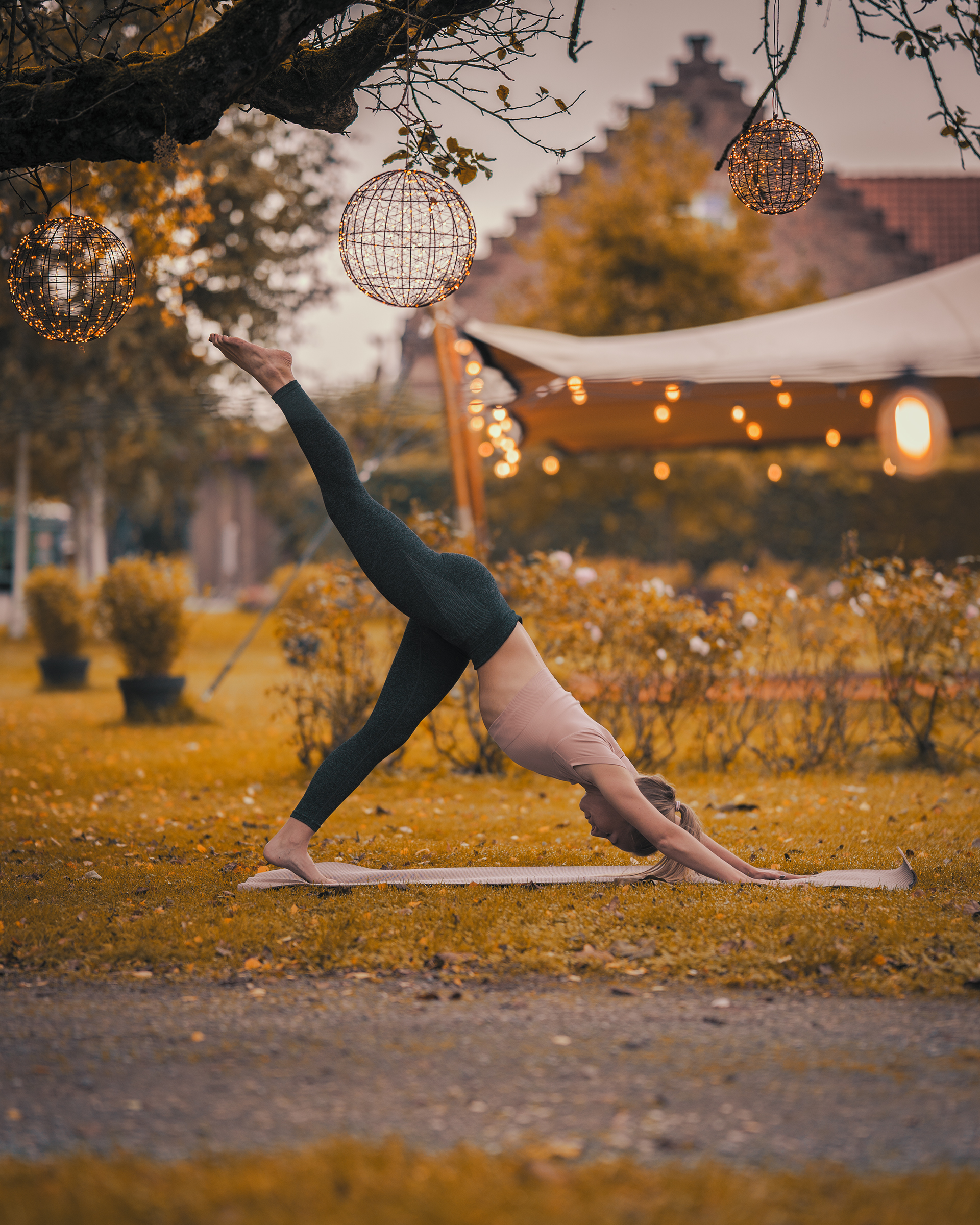 Kimberly – Drei-Bein-Hund